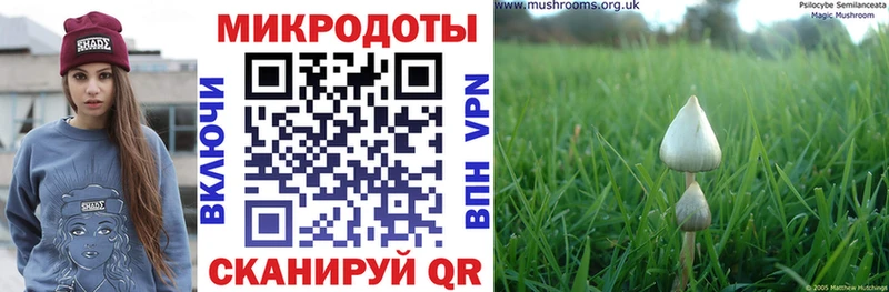 Купить закладки  Мглин  Галлюциногенные грибы мицелий 